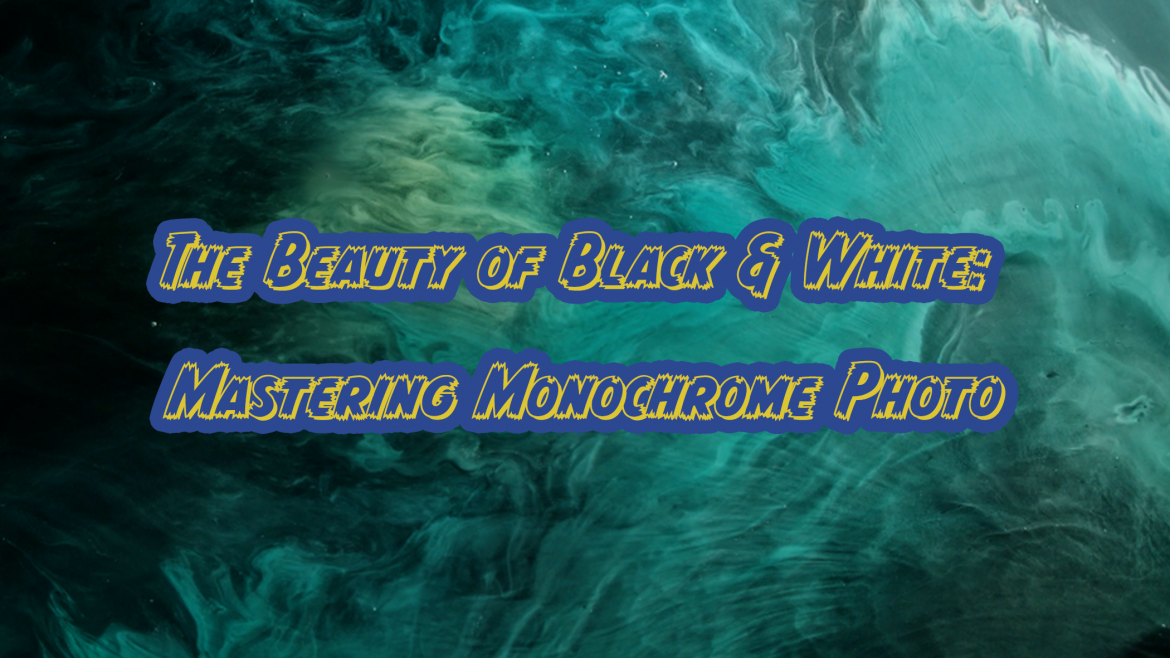 The Beauty of Black & White: Mastering Monochrome Photo